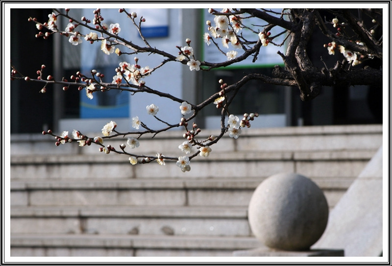 김해세무서 이미지