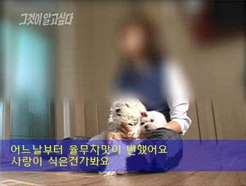 인 이미지
