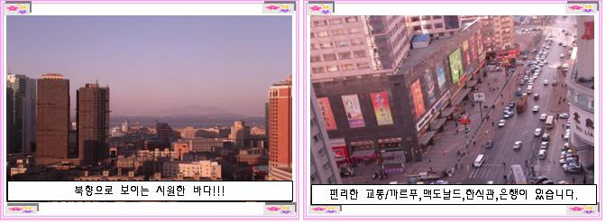 더민박 이미지