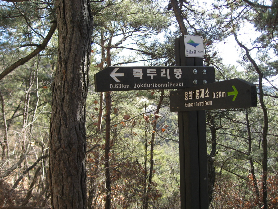 솔벗 이미지