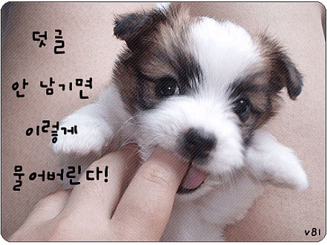 복 이미지